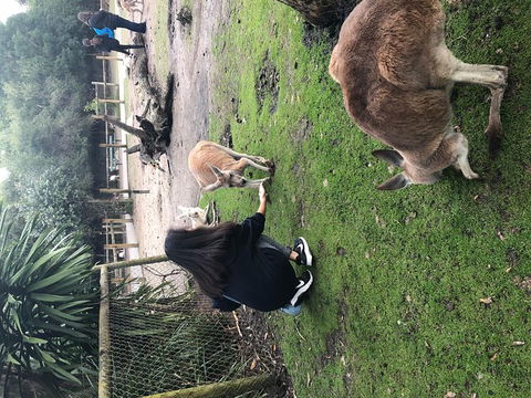 Perth Hills - Wildlife, Art & Gastronomy - VIC Tourism 4