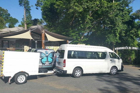 Airport Transfer To Or From Cairns Hotels For Up To 13 People - VIC Tourism 4