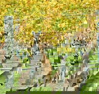 Margaret River Indulge and Discover Day Tour - VIC Tourism