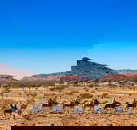Alice Springs Camel Tour - VIC Tourism