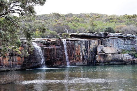 Royal National Park Tour - VIC Tourism 1