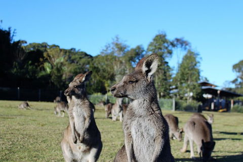 Royal National Park Tour - VIC Tourism 2
