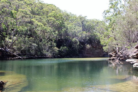 Royal National Park Tour - VIC Tourism 5