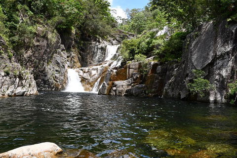 Behana Canyon Rainforest And Waterfall Experience - VIC Tourism 0