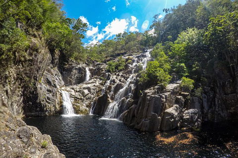 Behana Canyon Rainforest And Waterfall Experience - VIC Tourism 5