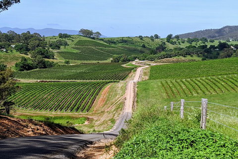 The Complete Hunter Valley Wine Tour Of Pokolbin, Mt View, Lovedale And Rothbury - VIC Tourism 0