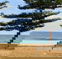 Manly  Sydney's Northern Beaches with 'Personalised Sydney Tours' - VIC Tourism