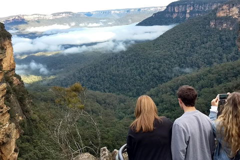 Blue Mountains Private Tour - Wild Kangaroos, Waterfalls And The Three Sisters - VIC Tourism 3