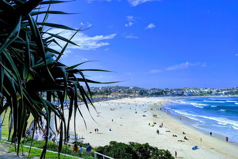 Sydney Secrets & Bondi Private 4 Hour Afternoon With 'Personalised Sydney Tours' - VIC Tourism 0