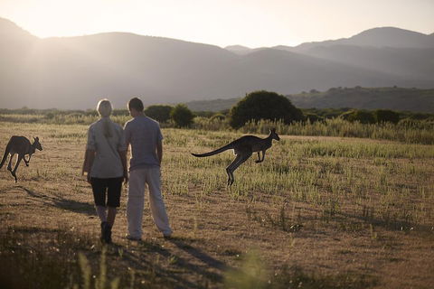 Overnight Daylesford And Macedon Ranges Gourmet Food Trail Tour From Melbourne - VIC Tourism 1