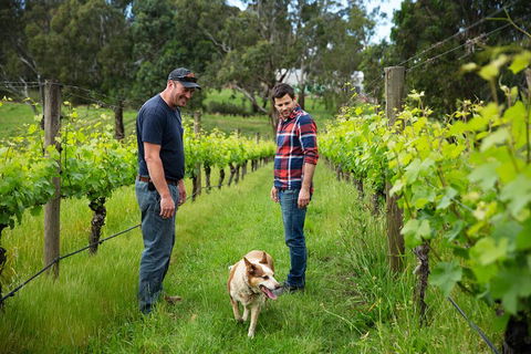 LGBT+ Friendly Full Day Yarra Valley & Dandenong Ranges Private Tour - VIC Tourism 4
