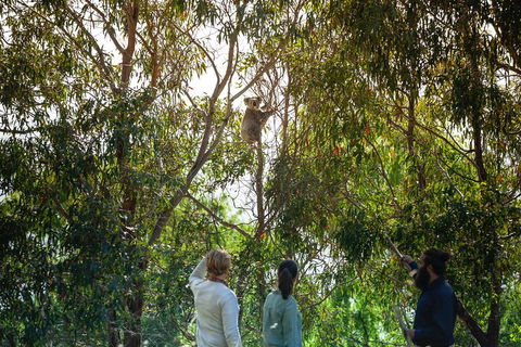 LGBT+ Friendly 3 Day Tour The Grampians, Daylesford & Ballarat - VIC Tourism 4
