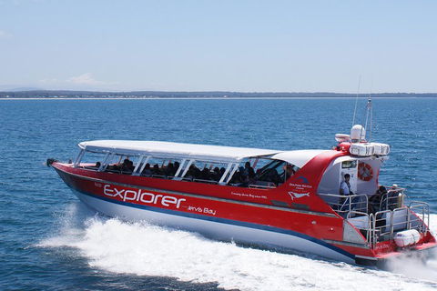 Whale Watching Jervis Bay - VIC Tourism 1