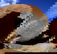 Full-Day Kangaroo Island Safari from Penneshaw - VIC Tourism