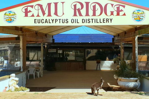 Full-Day Kangaroo Island Safari From Penneshaw - VIC Tourism 2