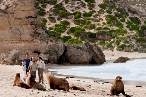 Kangaroo Island Scenic Trail Tour - VIC Tourism 5