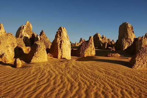 Full Day Pinnacle Desert Explorer From Perth Including Hillarys And Lancelin Sandboarding - VIC Tourism 3