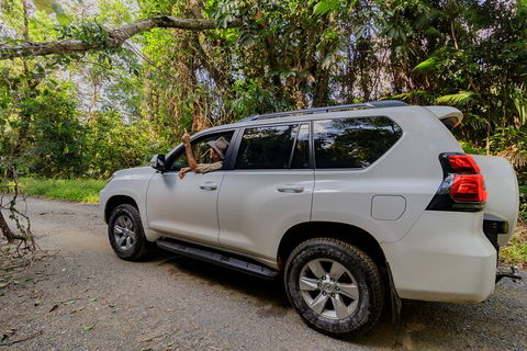 Full Day Cooktown Private Tour - VIC Tourism 3
