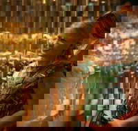 The Perth Mint Guided Heritage Tour and Gold Pour - VIC Tourism