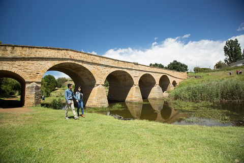 Bonorong Wildlife Park And Richmond Afternoon Tour From Hobart - VIC Tourism 2