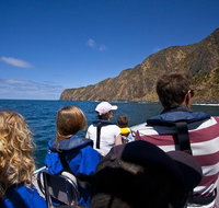 Seal Island Boat Tour from Victor Harbor - VIC Tourism