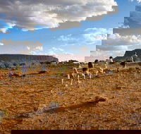 Mount Conner 4WD Small Group Tour from Ayers Rock including Dinner - VIC Tourism
