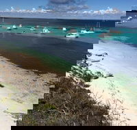 Experience Rottnest with Ferry  Bike Hire from Perth or Fremantle - VIC Tourism