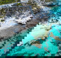 Rottnest Island Round-Trip Ferry from Perth or Fremantle - VIC Tourism