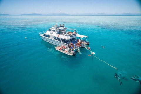 Ocean Freedom Great Barrier Reef Personal Luxury Snorkel & Dive Cruise, Cairns - VIC Tourism 0
