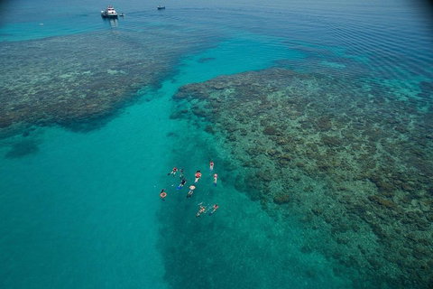 Ocean Freedom Great Barrier Reef Personal Luxury Snorkel & Dive Cruise, Cairns - VIC Tourism 3