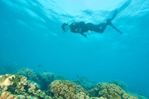 Ocean Freedom Great Barrier Reef Personal Luxury Snorkel & Dive Cruise, Cairns - VIC Tourism 5