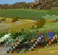 10 Day Perth to Adelaide Private Tour - The Great Australian Wilderness Journey - VIC Tourism