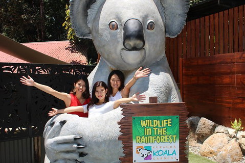 Kuranda Koala Gardens And Birdworld Admission Tickets - VIC Tourism 3