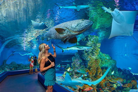Cairns Aquarium Admission Ticket - VIC Tourism 3