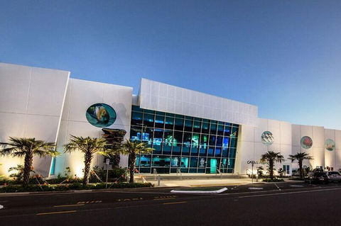 Cairns Aquarium Admission Ticket - VIC Tourism 4