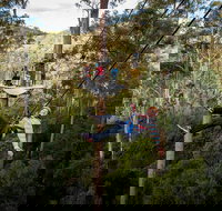 Hollybank Wilderness Adventure - Zipline Tours - VIC Tourism