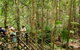 Fraser Explorer K'gari 2-Day Tour - thumb 5