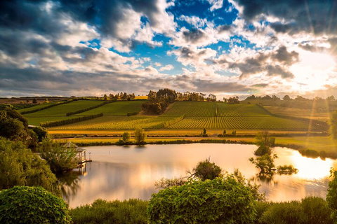 Josef Chromy Wines Winery Tour Including Tasting And Lunch - VIC Tourism 3