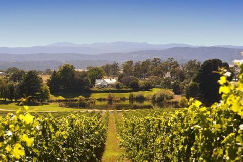 Josef Chromy Wines Winery Tour Including Tasting And Lunch - VIC Tourism 4
