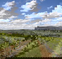 Hunter Valley Wine Tour from Sydney incl Lunch Cheese Chocolate and Distillery - VIC Tourism