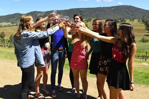 Hunter Valley Wine Tour From Sydney Incl Lunch, Cheese, Chocolate And Distillery - VIC Tourism 3