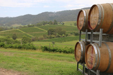 Hunter Valley Wine Tour From Sydney Incl Lunch, Cheese, Chocolate And Distillery - VIC Tourism 5