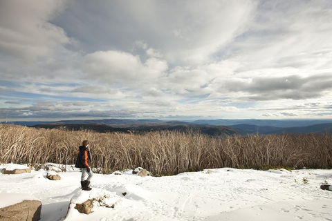 Lake Mountain Snow Trip Including Yarra Valley Chocolaterie From Melbourne - VIC Tourism 5