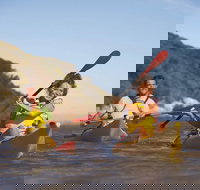 Kangaroo Island Self-Guided Kayaking on the Harriet River - VIC Tourism