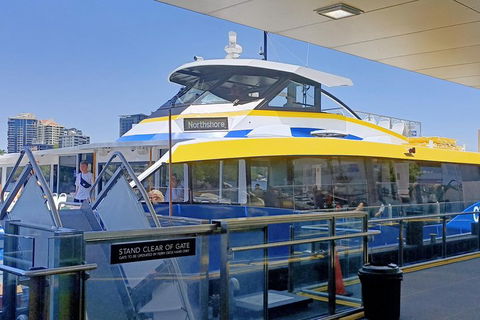 Brisbane City Essentials Walking Tour - VIC Tourism 3