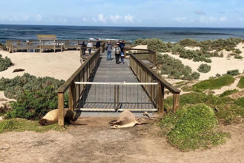 Kangaroo Island 4WD Tour - Best Of KI - VIC Tourism 2
