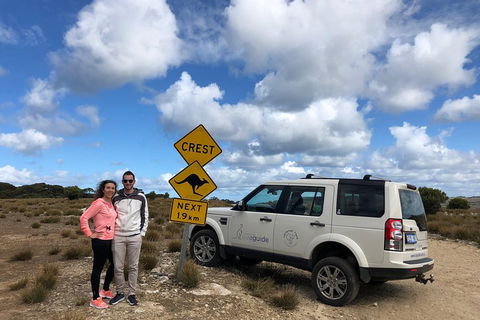 Kangaroo Island 4WD Tour - Best Of KI - VIC Tourism 5