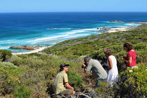 Margaret River Coastal And Wildlife Eco Trip From Busselton Or Dunsborough - VIC Tourism 2