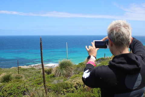 Margaret River Coastal And Wildlife Eco Trip From Busselton Or Dunsborough - VIC Tourism 3