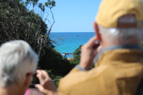 Margaret River Coastal And Wildlife Eco Trip From Busselton Or Dunsborough - VIC Tourism 5